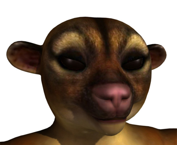maya kinkajou - Kinkajou by locoleon